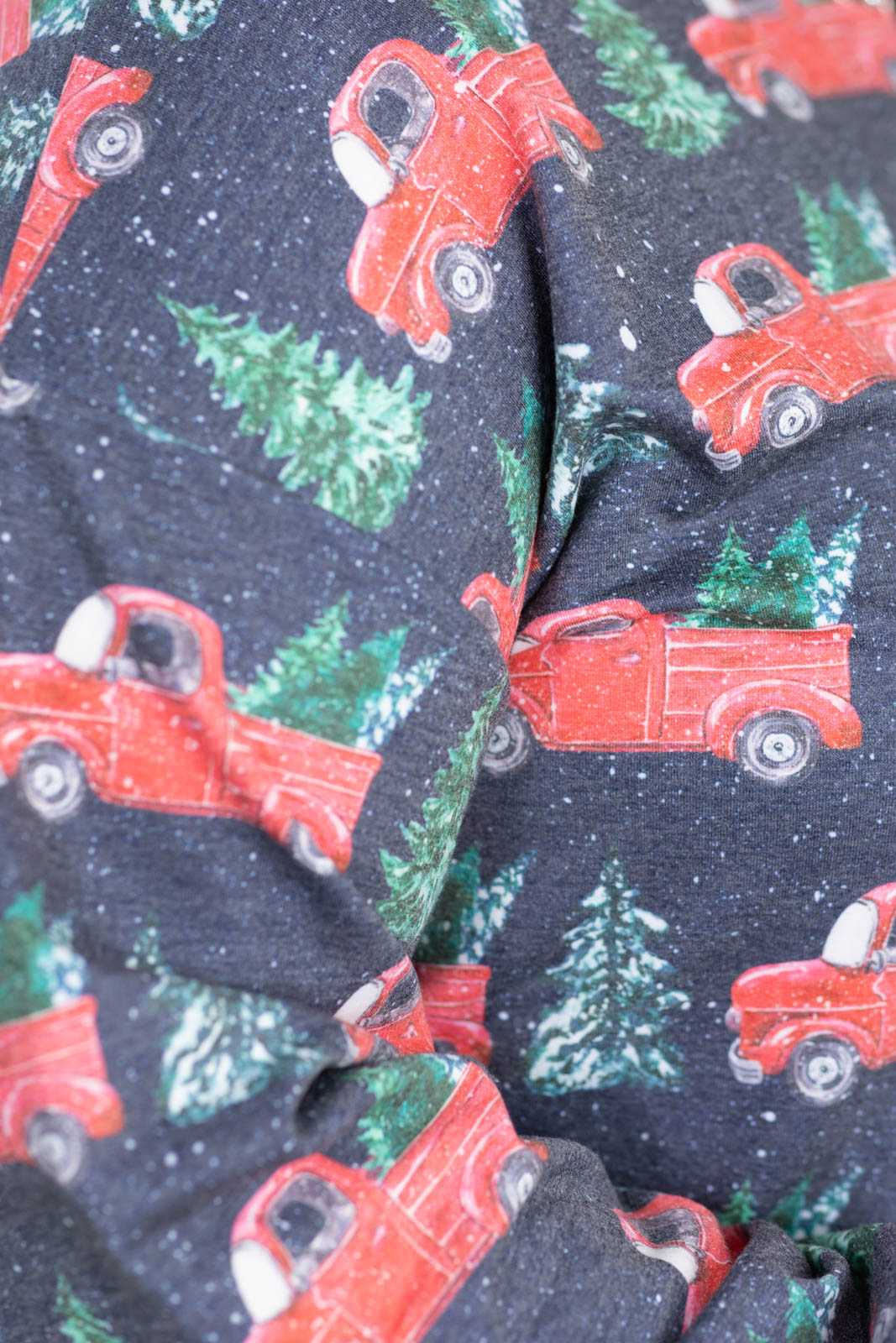 Tree Farm Printed French Terry Sweatshirt