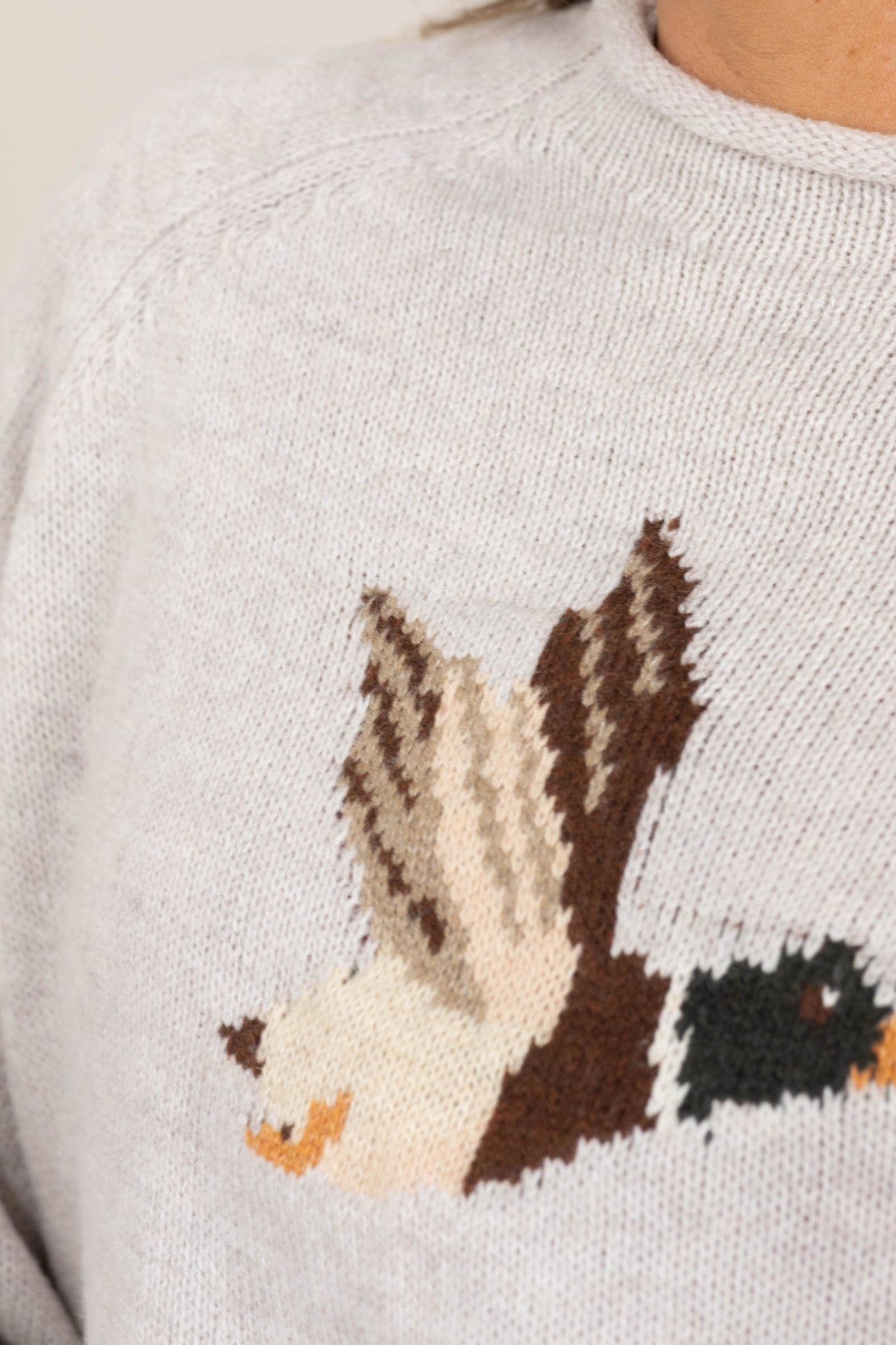 Oatmeal Sweater With Flying Duck