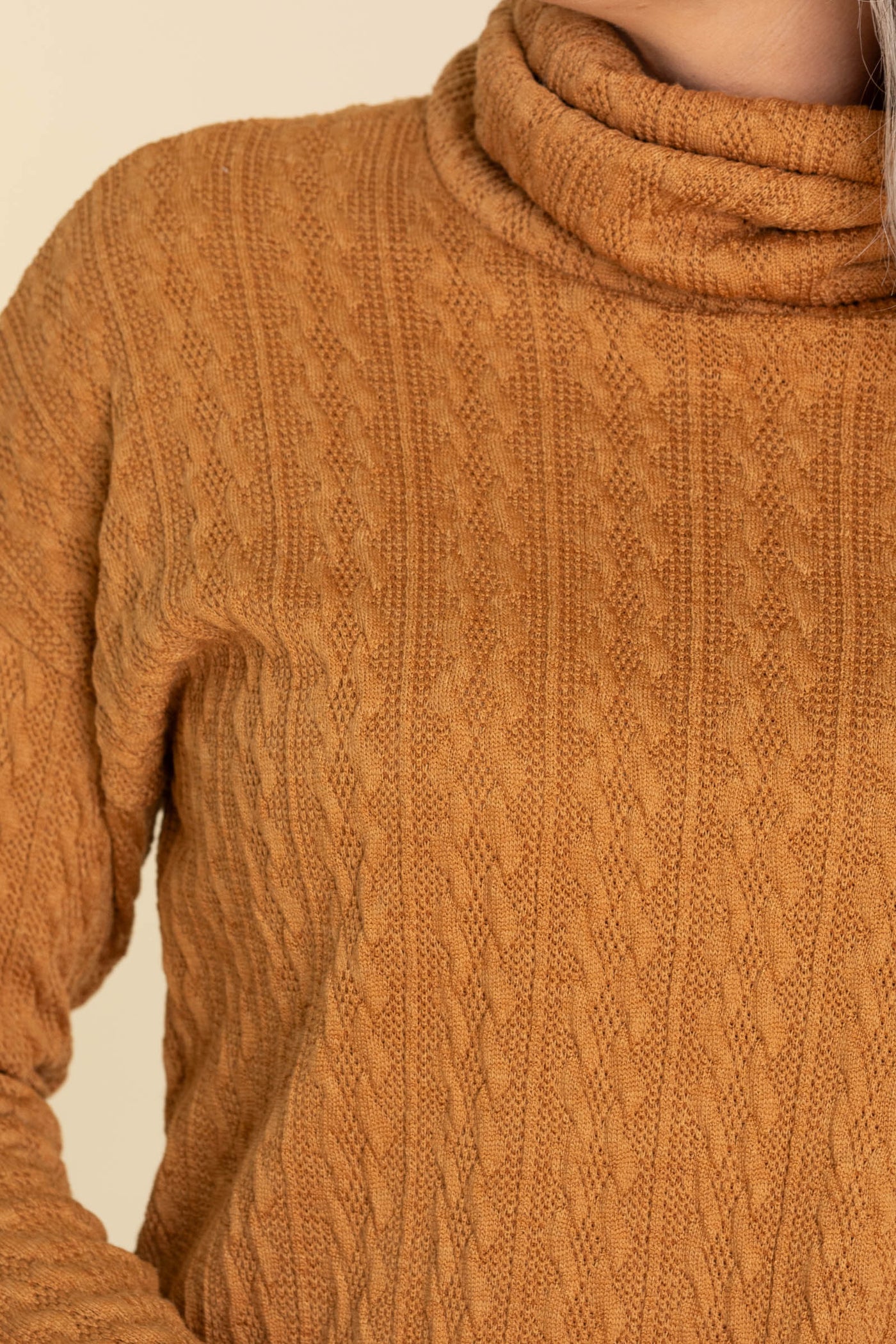 Cinnamon Textured Turtle Neck Knit Top