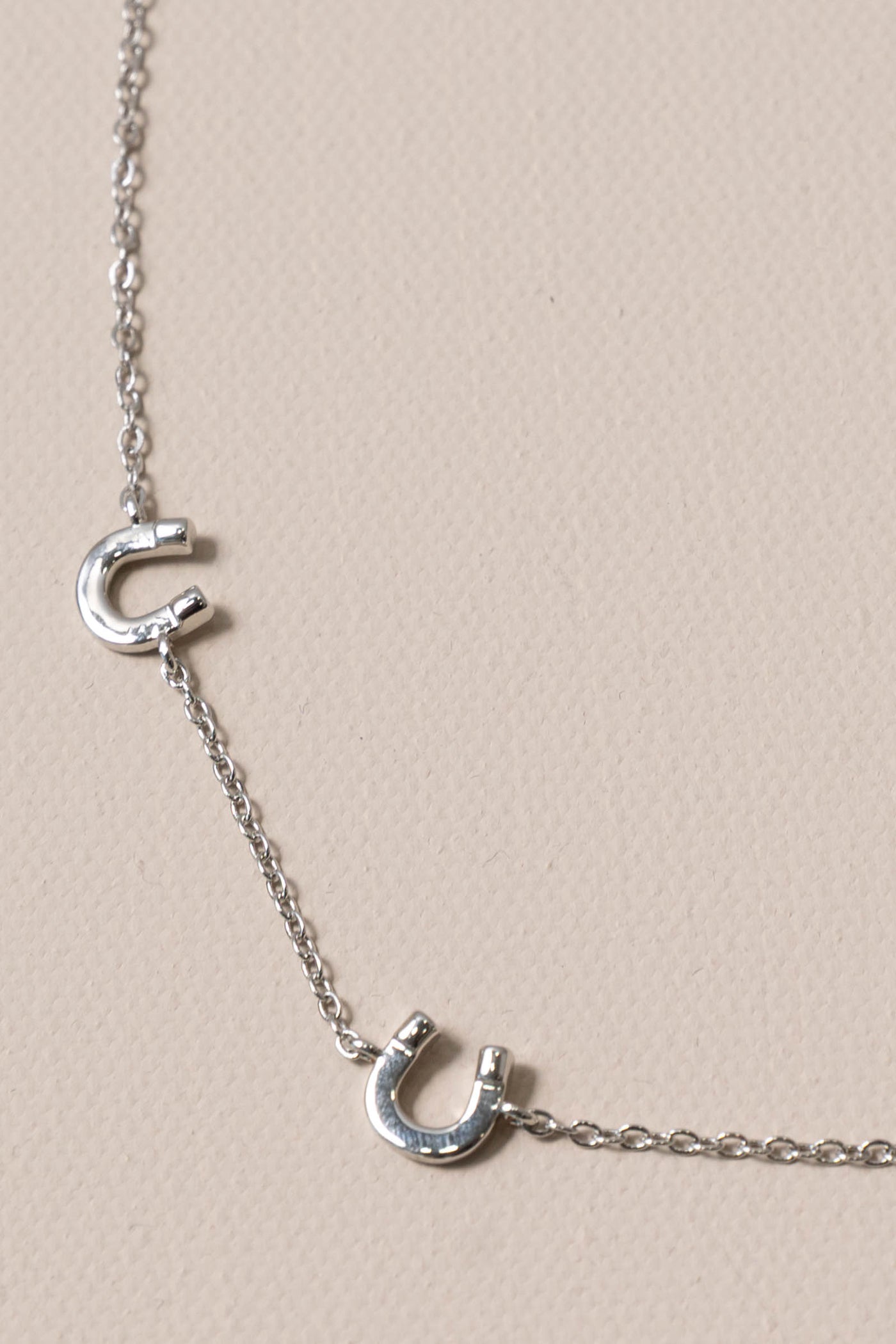 Silver Layering Horseshoe Necklace