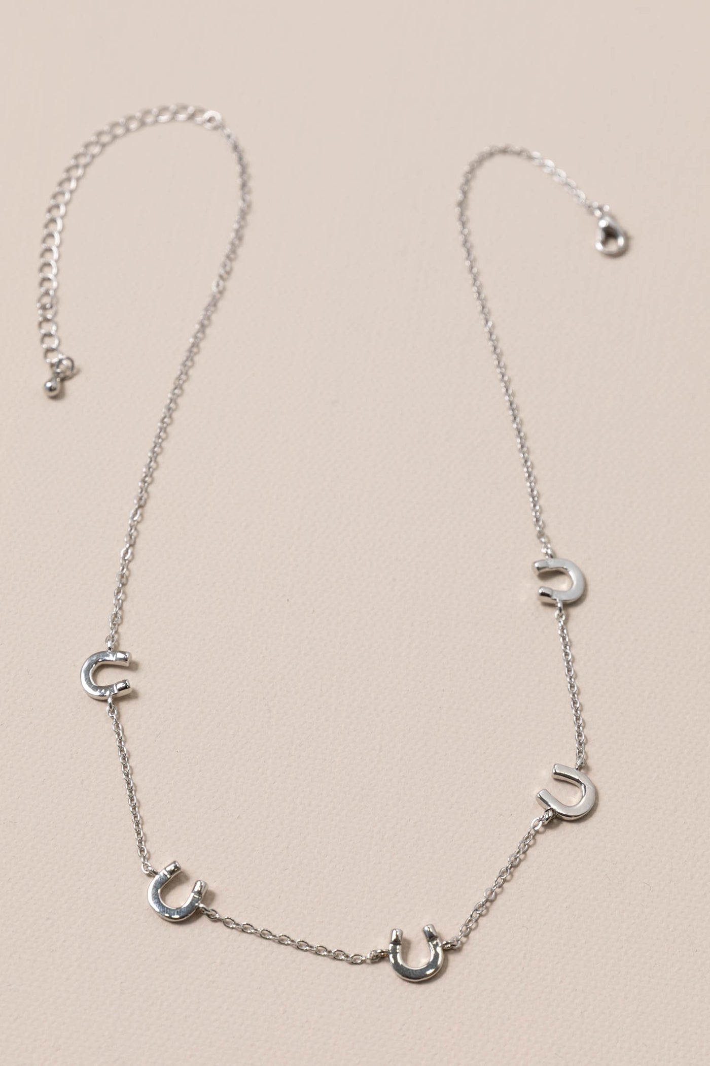 Silver Layering Horseshoe Necklace