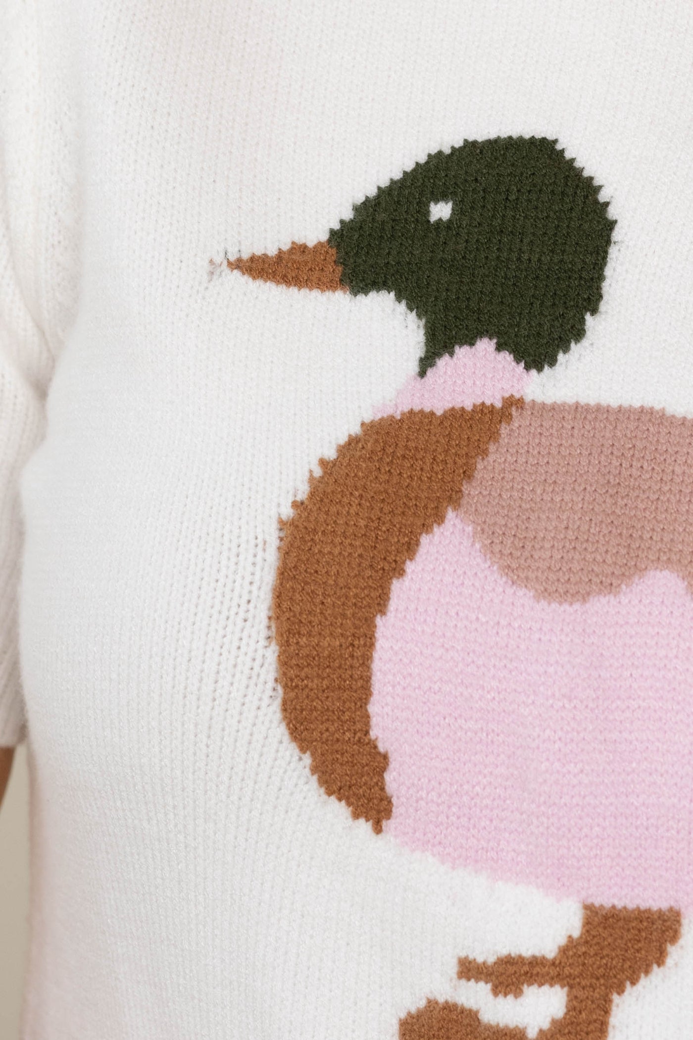 Ivory Duck Graphic Short Sleeve Pullover Top