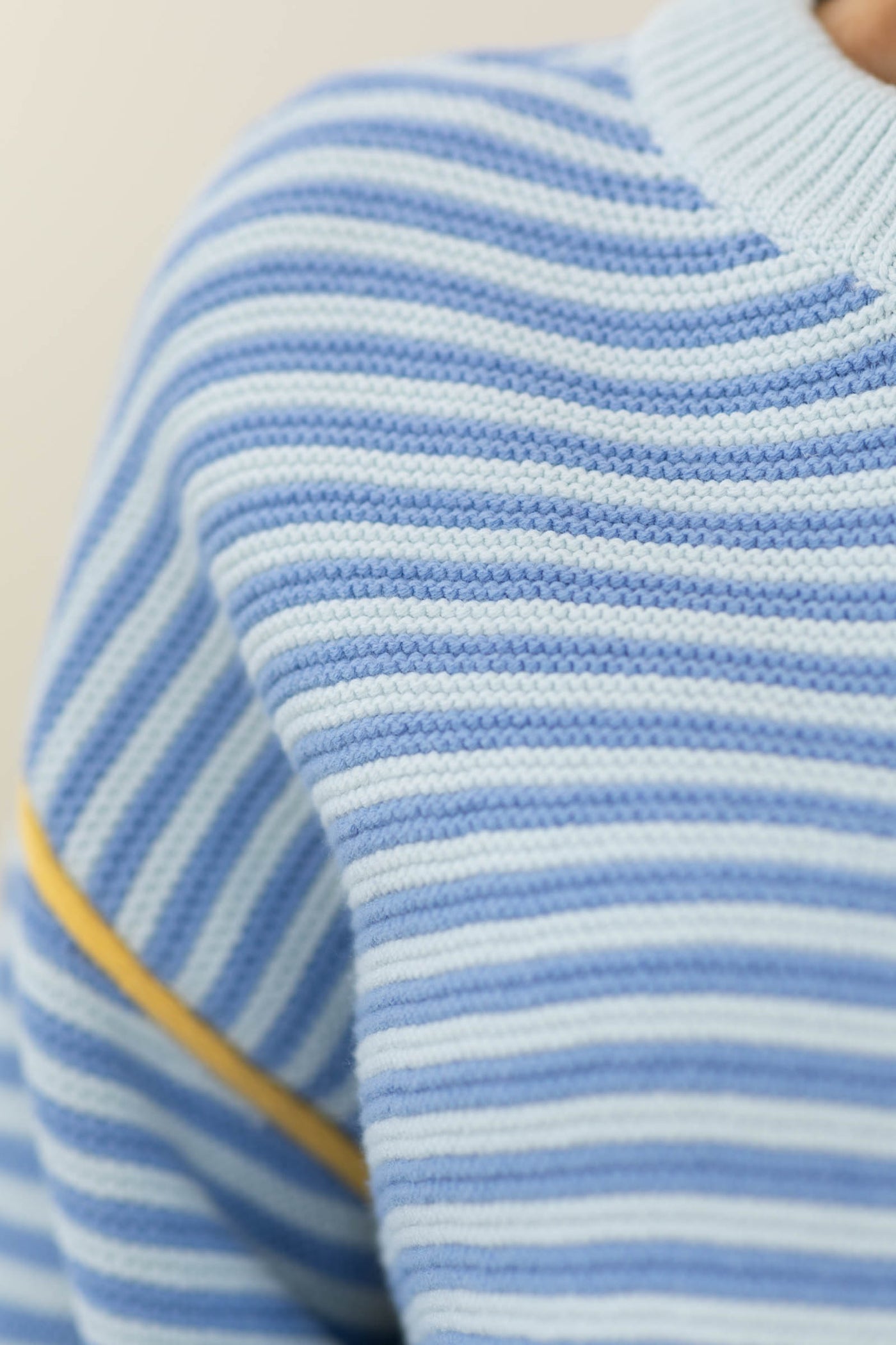 Striped Sweater with Contrast Detail and Ribbed Trim