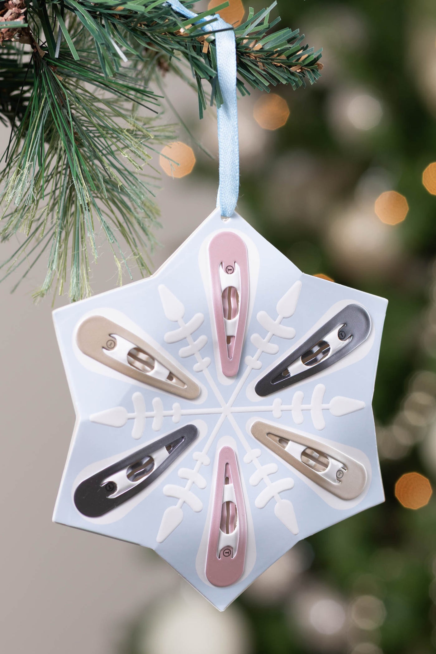Snowflake Snap Clip Gift Set