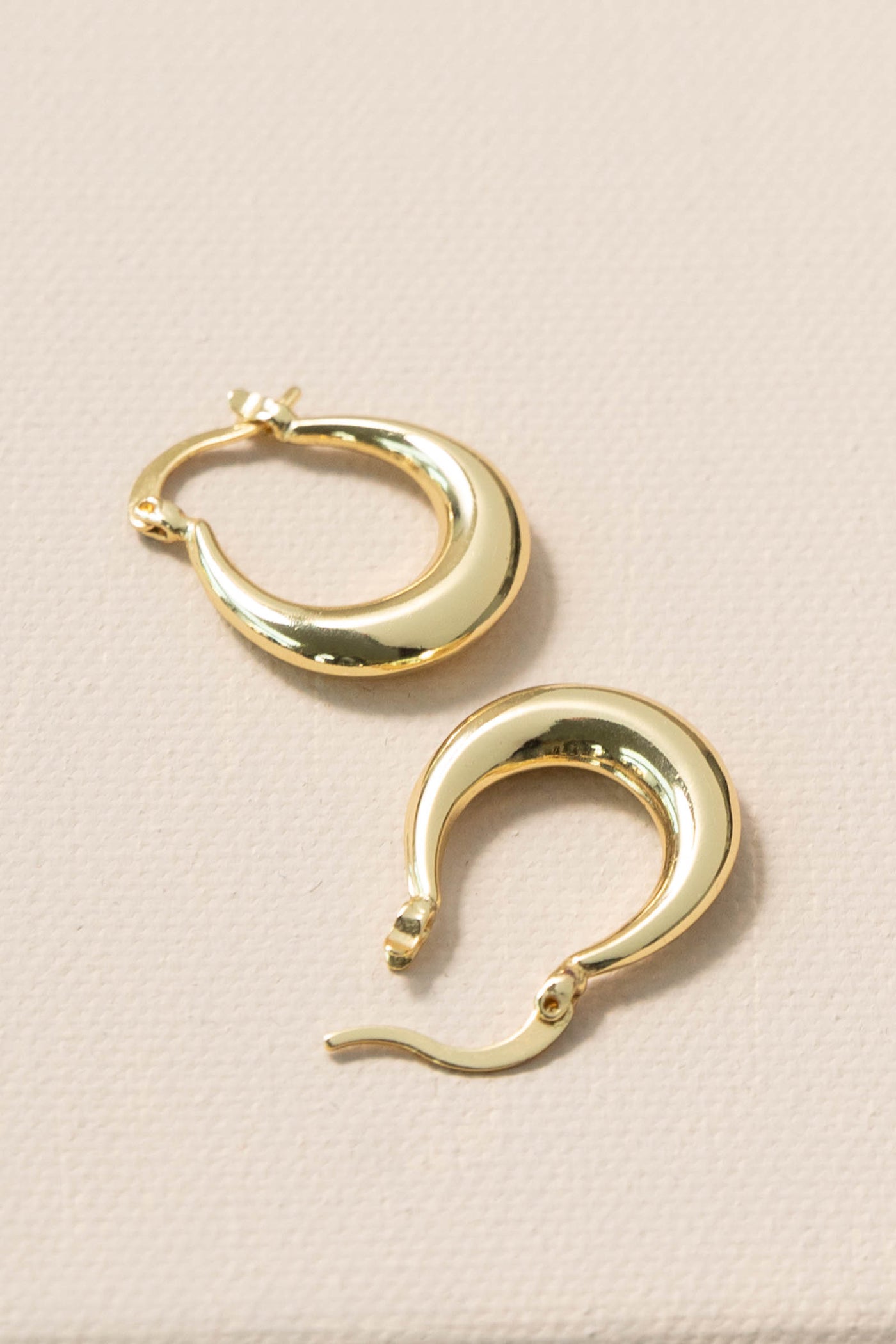 Everyday Gold Hoop Earrings