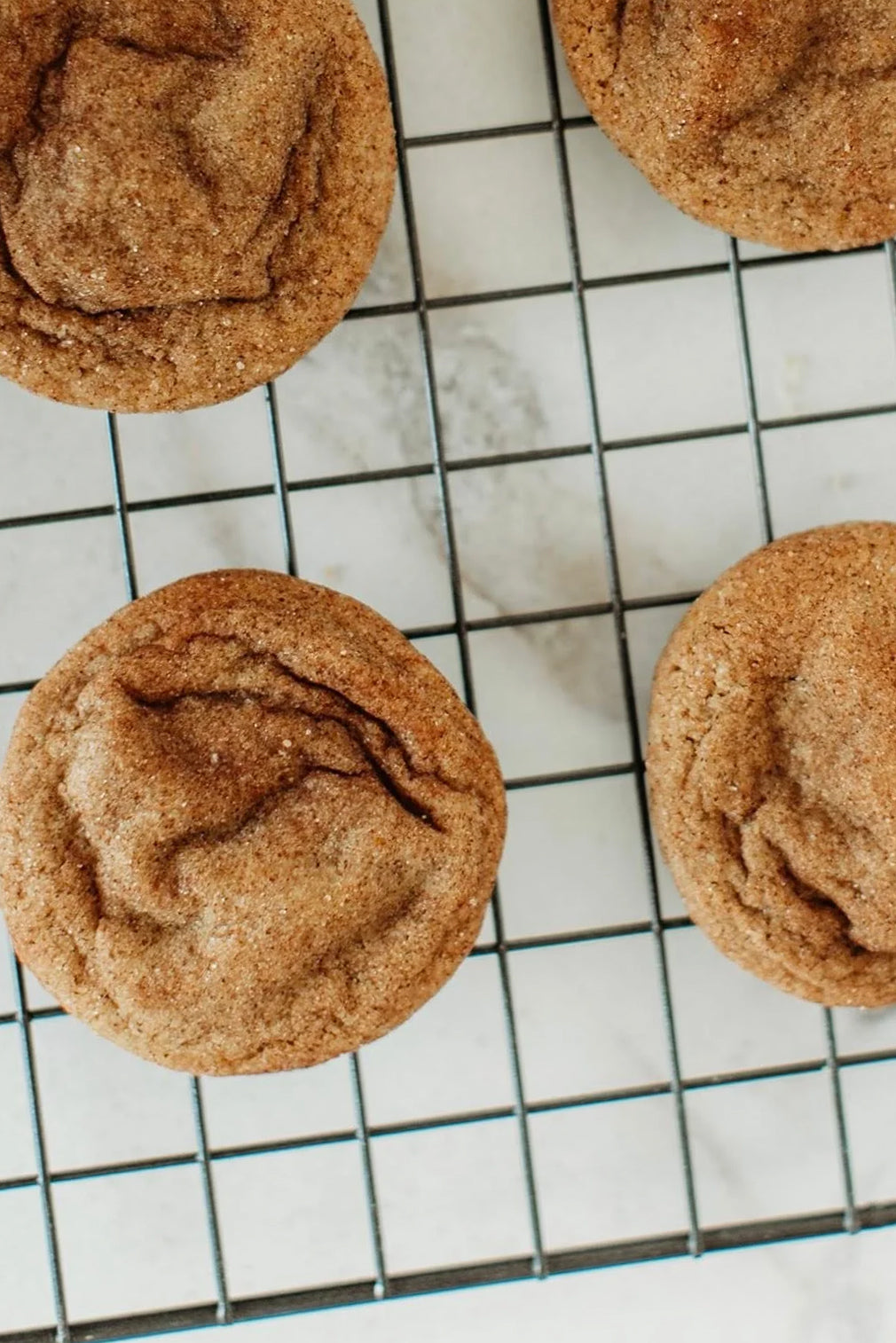 Fall Pumpkin Snickerdoodle Cookie Mix