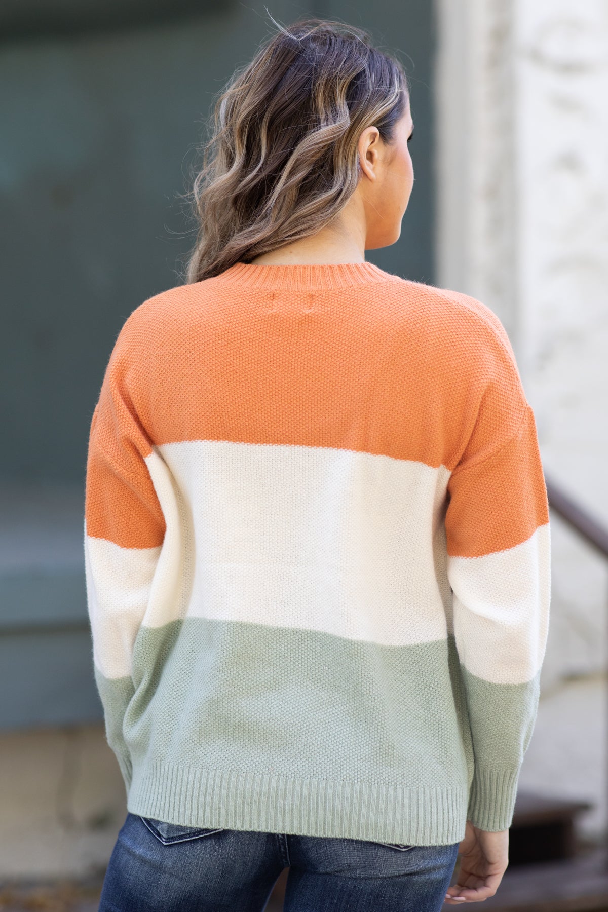 Cream Multicolor Animal Colorblock Sweater - Filly Flair